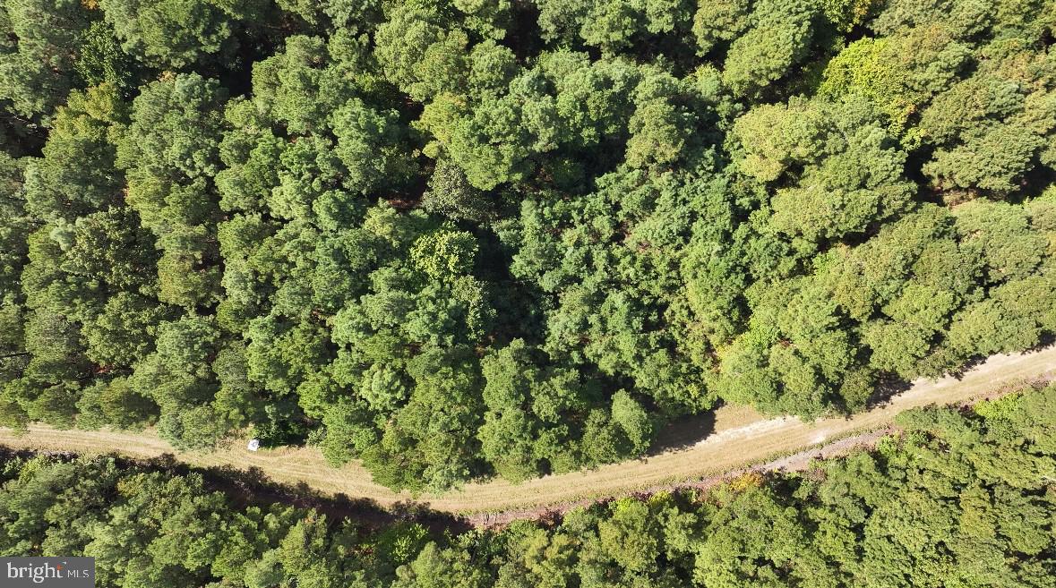 0 Deal Island Road Princess Anne, MD 21853 - Photo 6 of 8