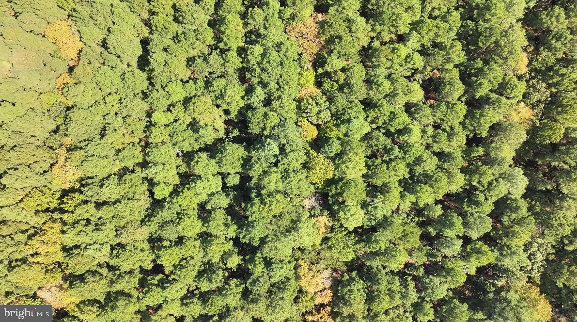 0 Deal Island Road Princess Anne, MD 21853 - Photo 7 of 8