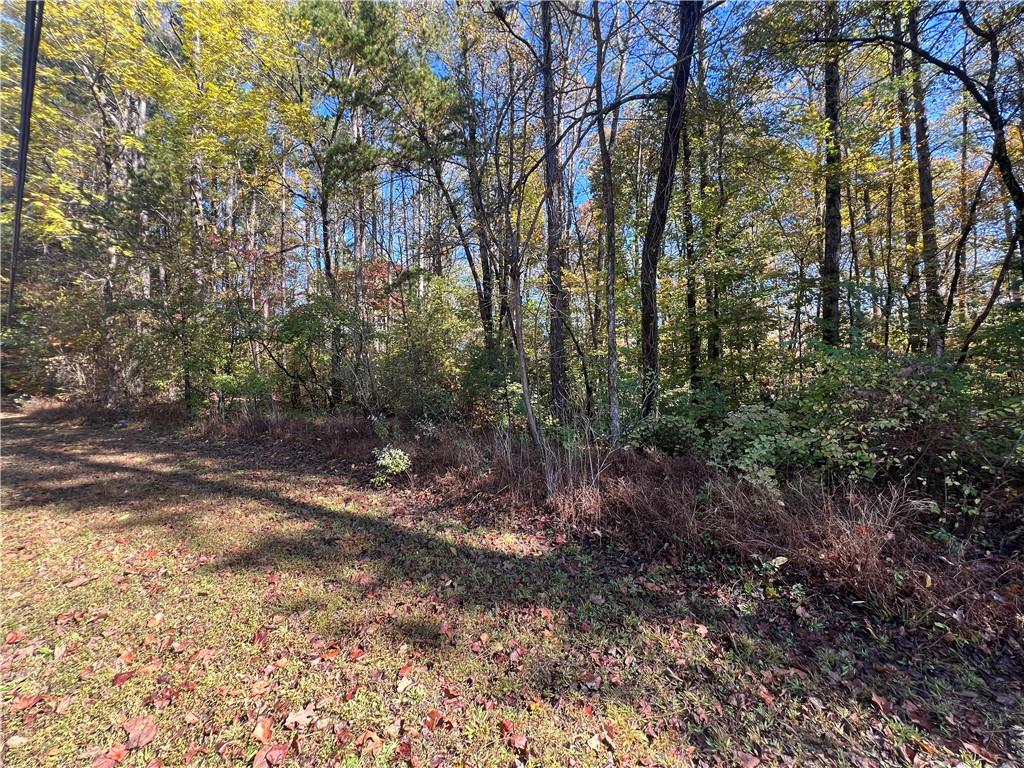 10494 Ball Ground Highway Ball Ground, GA 30107 - Photo 7 of 11 a view of a forest with trees
