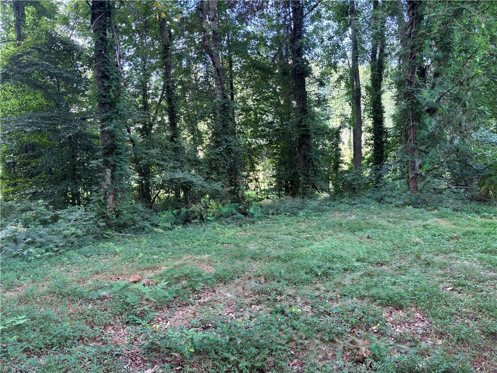 900 D Creekside Drive Clemson, SC 29631 - Photo 15 of 18 Backyard