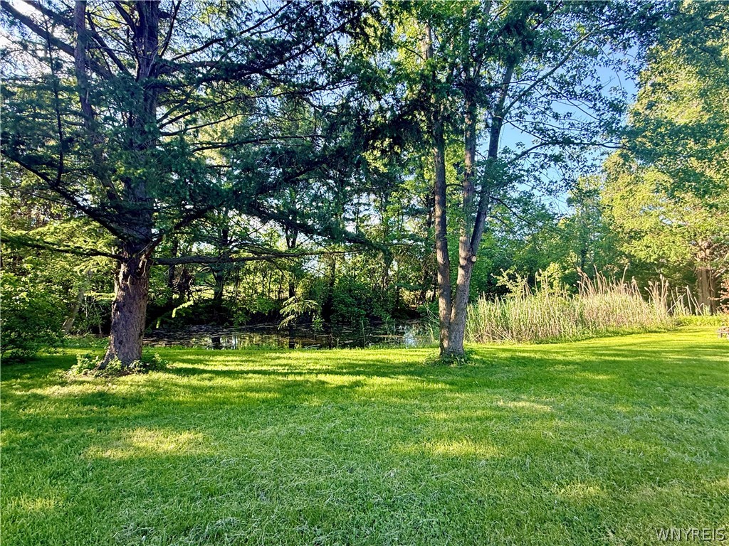 5313 Watson Road Elba, NY 14058 - Photo 2 of 22
