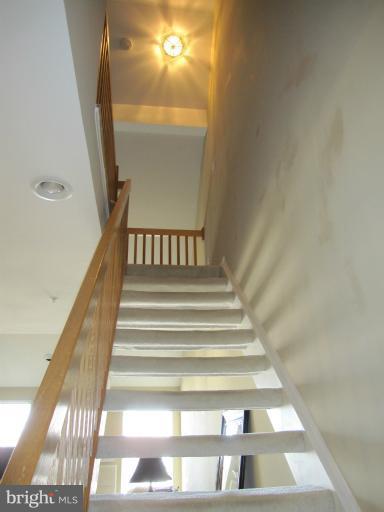 25252 Riffleford Square, Unit 303 Chantilly, VA 20152 - Photo 7 of 15 Interior (General)
