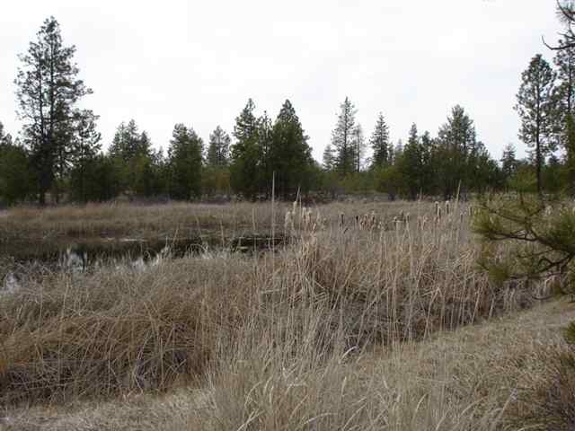 20013 South Harrison Road, Unit 0S HARRISON RD Edwall, WA 99008 - Photo 1 of 9 Gallery Image 1