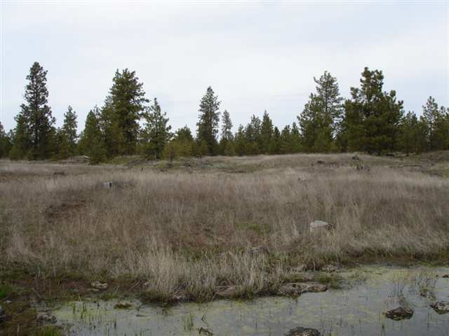 20013 South Harrison Road, Unit 0S HARRISON RD Edwall, WA 99008 - Photo 6 of 9 Gallery Image 6