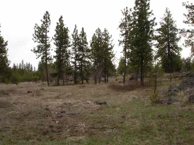 20013 South Harrison Road, Unit 0S HARRISON RD Edwall, WA 99008 - Photo 7 of 9 Gallery Image 7