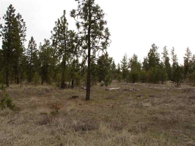 20013 South Harrison Road, Unit 0S HARRISON RD Edwall, WA 99008 - Photo 8 of 9 Gallery Image 8