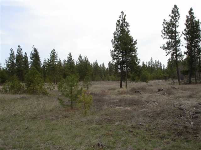 20013 South Harrison Road, Unit 0S HARRISON RD Edwall, WA 99008 - Photo 9 of 9 Gallery Image 9