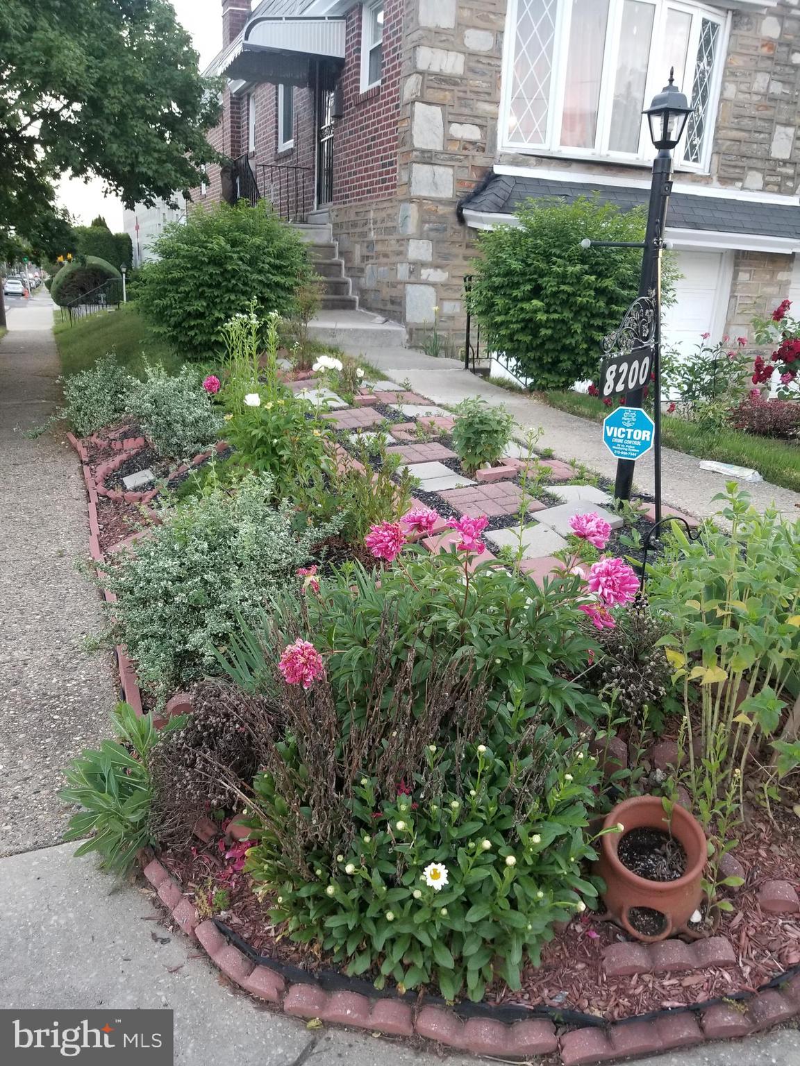 8200 Rugby Street Philadelphia, PA 19150 - Photo 8 of 19 Pathway to Main Entrance