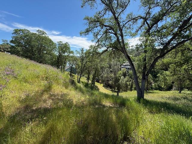 a view of outdoor space and yard