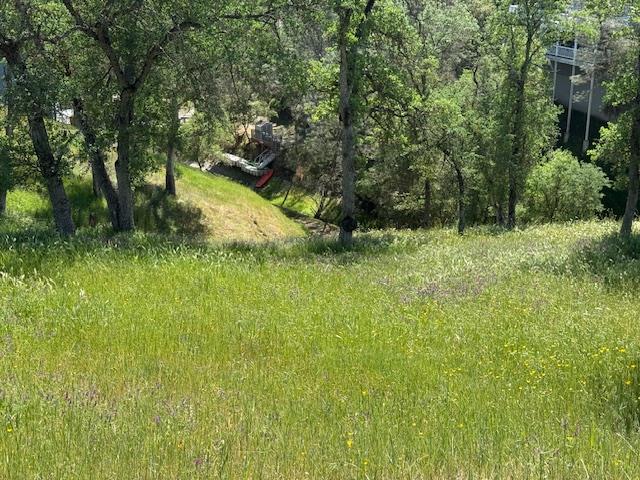 4319 Tomahawk Trail Copperopolis, CA 95228 - Photo 2 of 10 a view of swimming pool from a yard