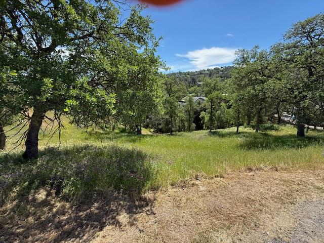 4319 Tomahawk Trail Copperopolis, CA 95228 - Photo 3 of 10 a view of lake with green space