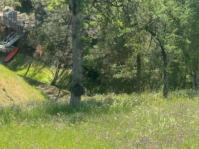 4319 Tomahawk Trail Copperopolis, CA 95228 - Photo 4 of 10 a view of a garden