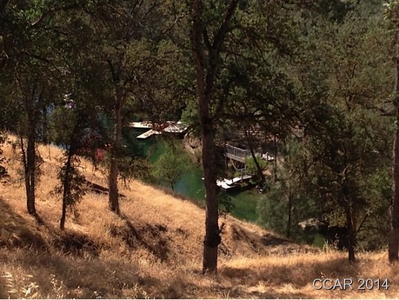 4319 Tomahawk Trail Copperopolis, CA 95228 - Photo 7 of 11 view of local wilderness
