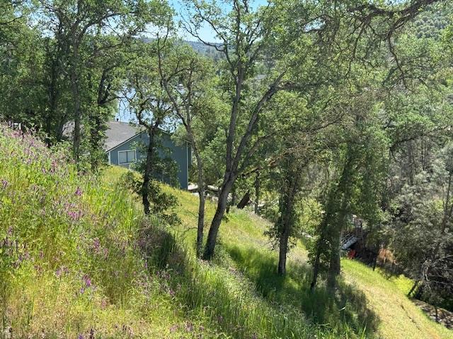 4319 Tomahawk Trail Copperopolis, CA 95228 - Photo 7 of 10 a view of a yard