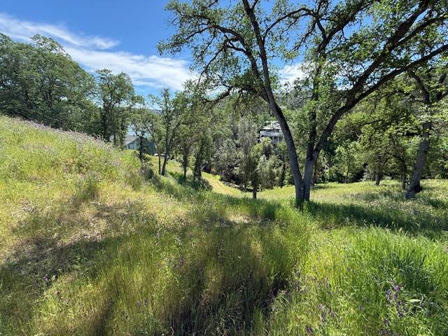 4319 Tomahawk Trail Copperopolis, CA 95228 - Photo 8 of 10 a view of outdoor space and trees