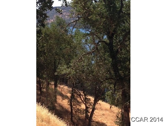 4319 Tomahawk Trail Copperopolis, CA 95228 - Photo 9 of 11 view of nature