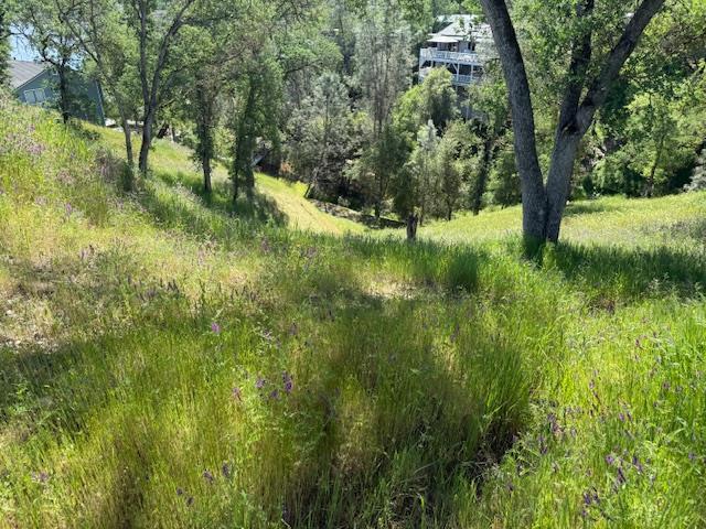 4319 Tomahawk Trail Copperopolis, CA 95228 - Photo 10 of 10 a view of outdoor space and trees all around