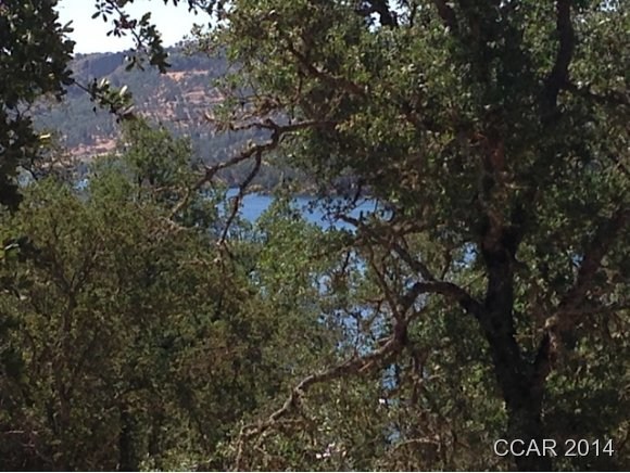4319 Tomahawk Trail Copperopolis, CA 95228 - Photo 10 of 11 LAKE VIEWS