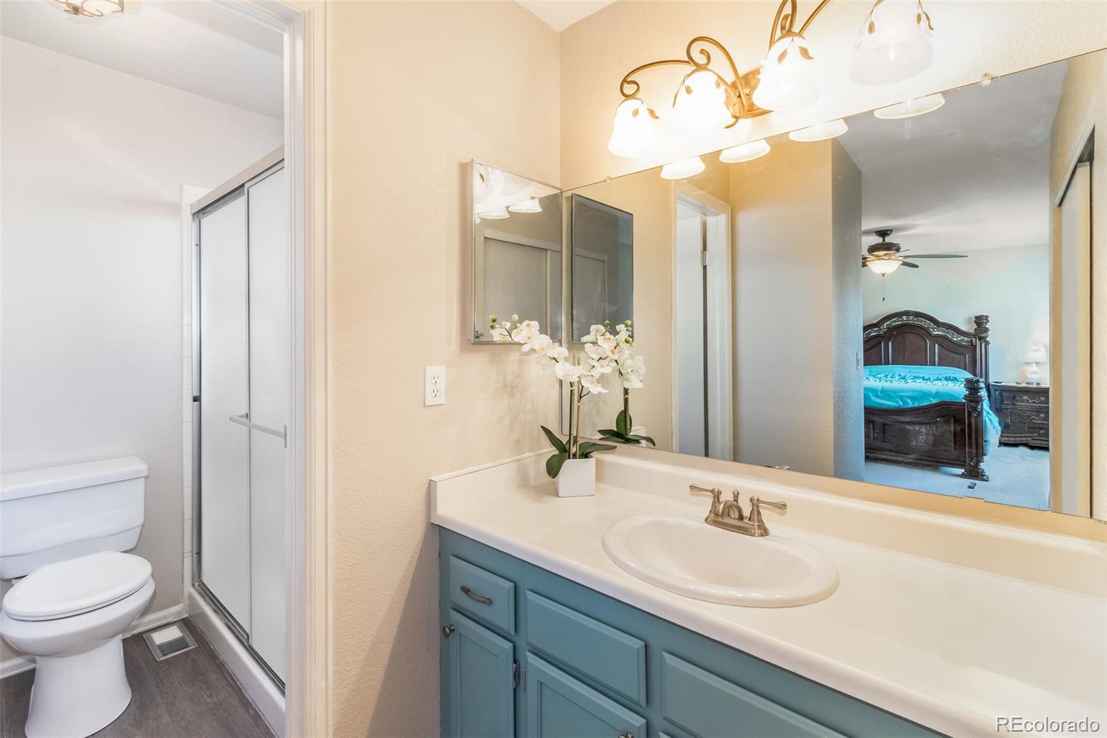 9164 Bitterweed Court Highlands Ranch, CO 80126 - Photo 12 of 27 a bathroom with a toilet a sink and a mirror