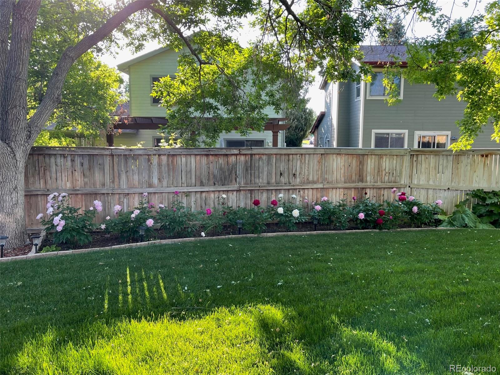 9164 Bitterweed Court Highlands Ranch, CO 80126 - Photo 21 of 27 a front view of a house with a yard and potted plants
