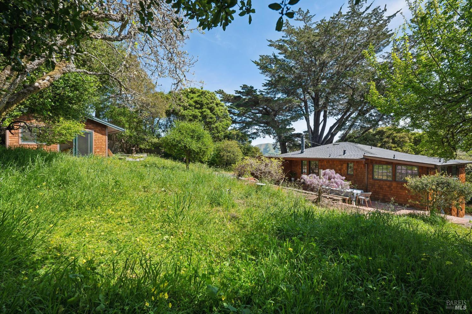 9 Portola Avenue Point Reyes Station, CA 94956 - Photo 41 of 55