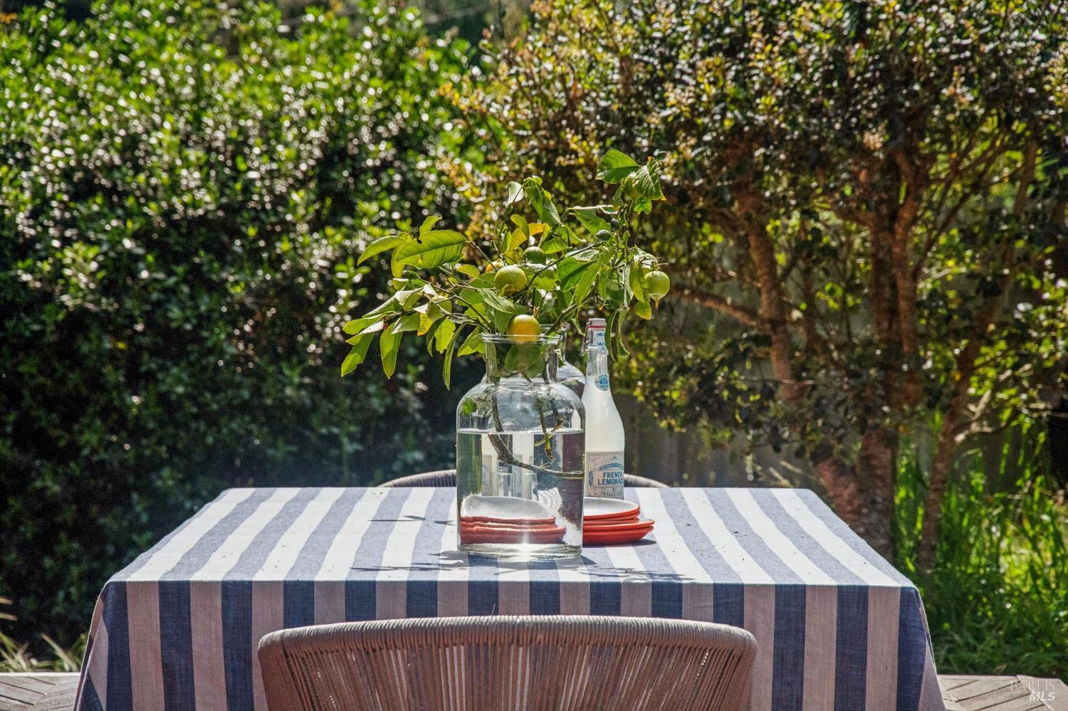 9 Portola Avenue Point Reyes Station, CA 94956 - Photo 46 of 55