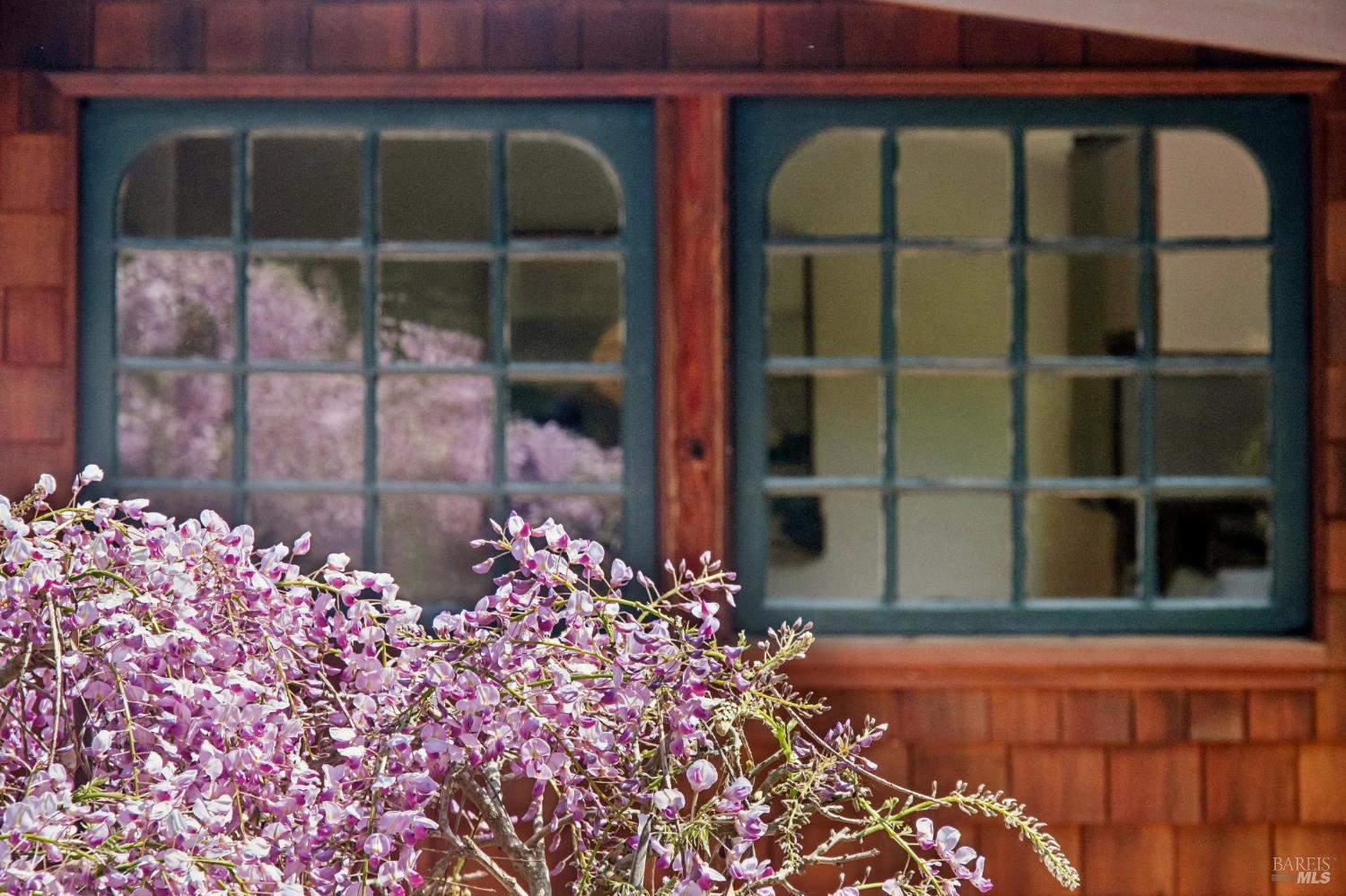 9 Portola Avenue Point Reyes Station, CA 94956 - Photo 47 of 55