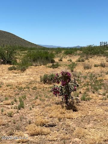 East Duke Ranch Road Pearce, AZ 85625 - Photo 2 of 8