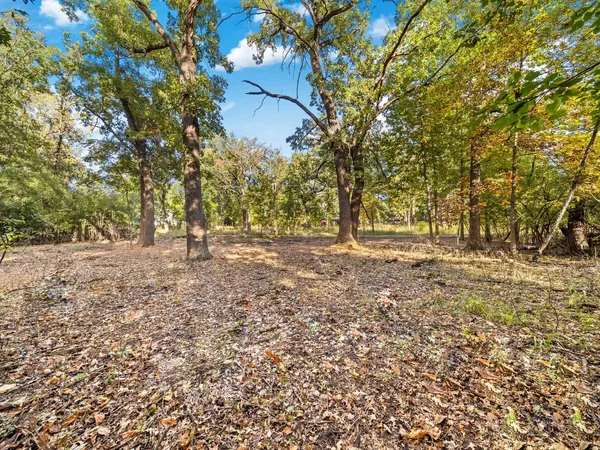 a outdoor space with lots of trees