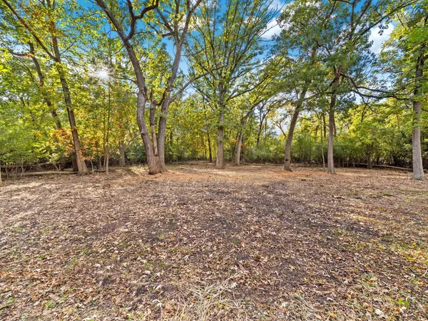 a view of outdoor space with trees