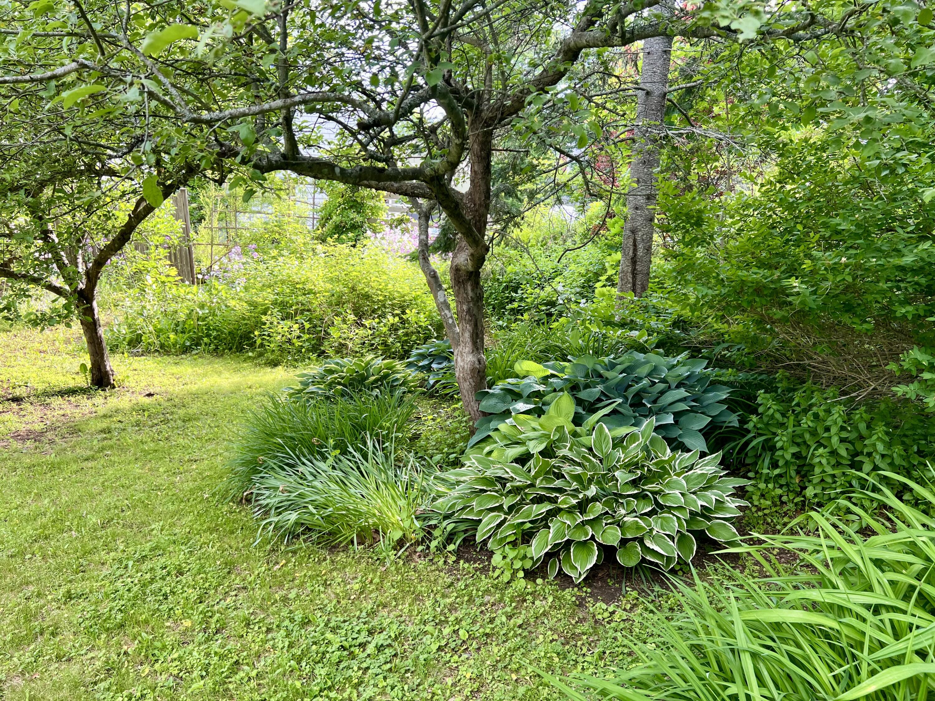 59 Cedar Street Belfast, ME 04915 - Photo 78 of 92 IMG_9286