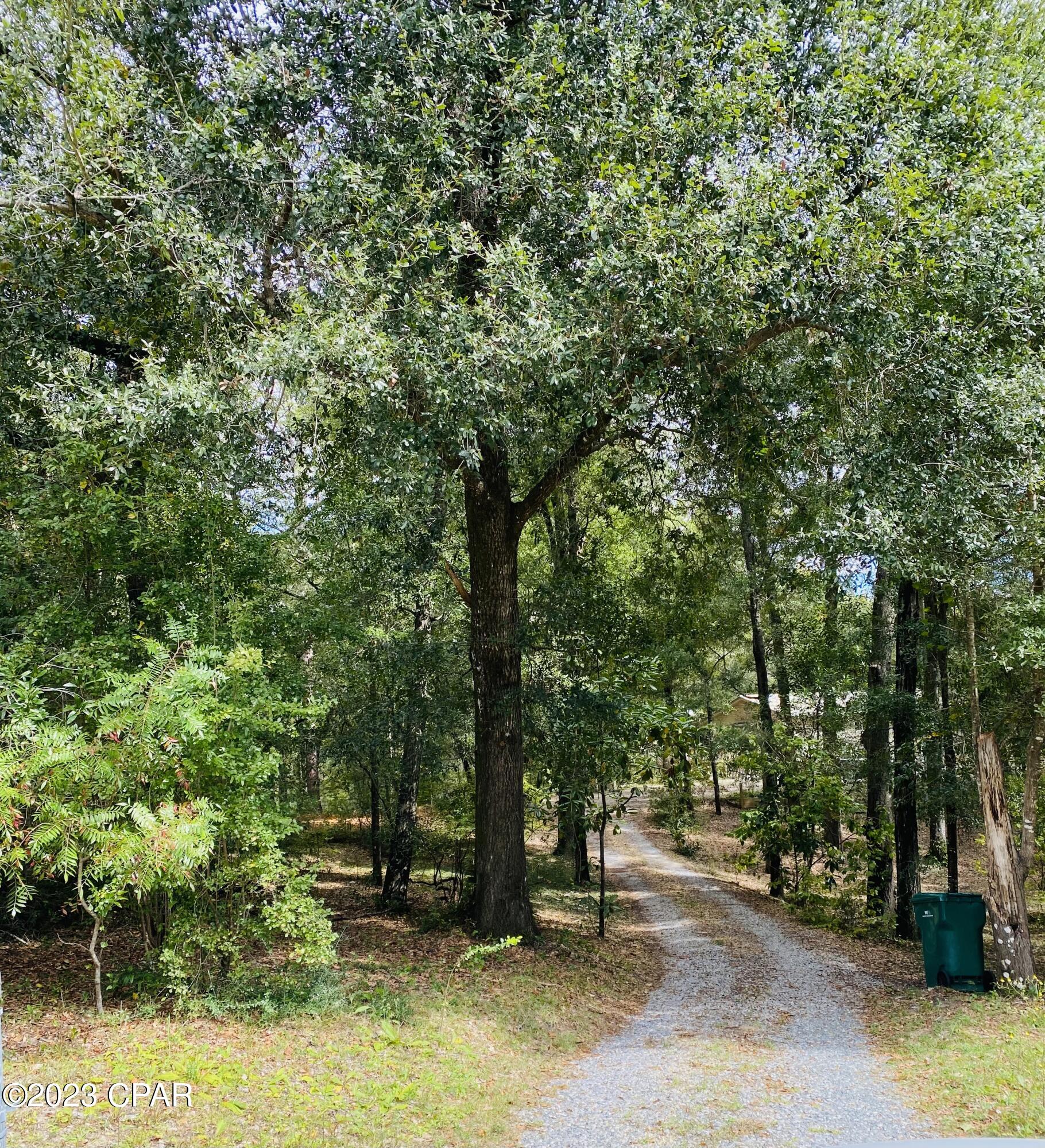 4679 Moss Hill Road Chipley, FL 32428 - Photo 12 of 35 Gallery Image 12
