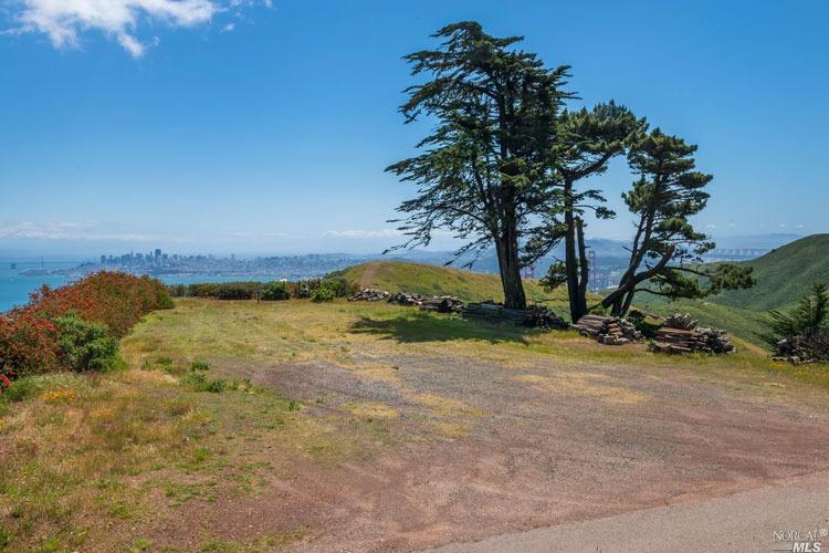 a view of a yard with a tree