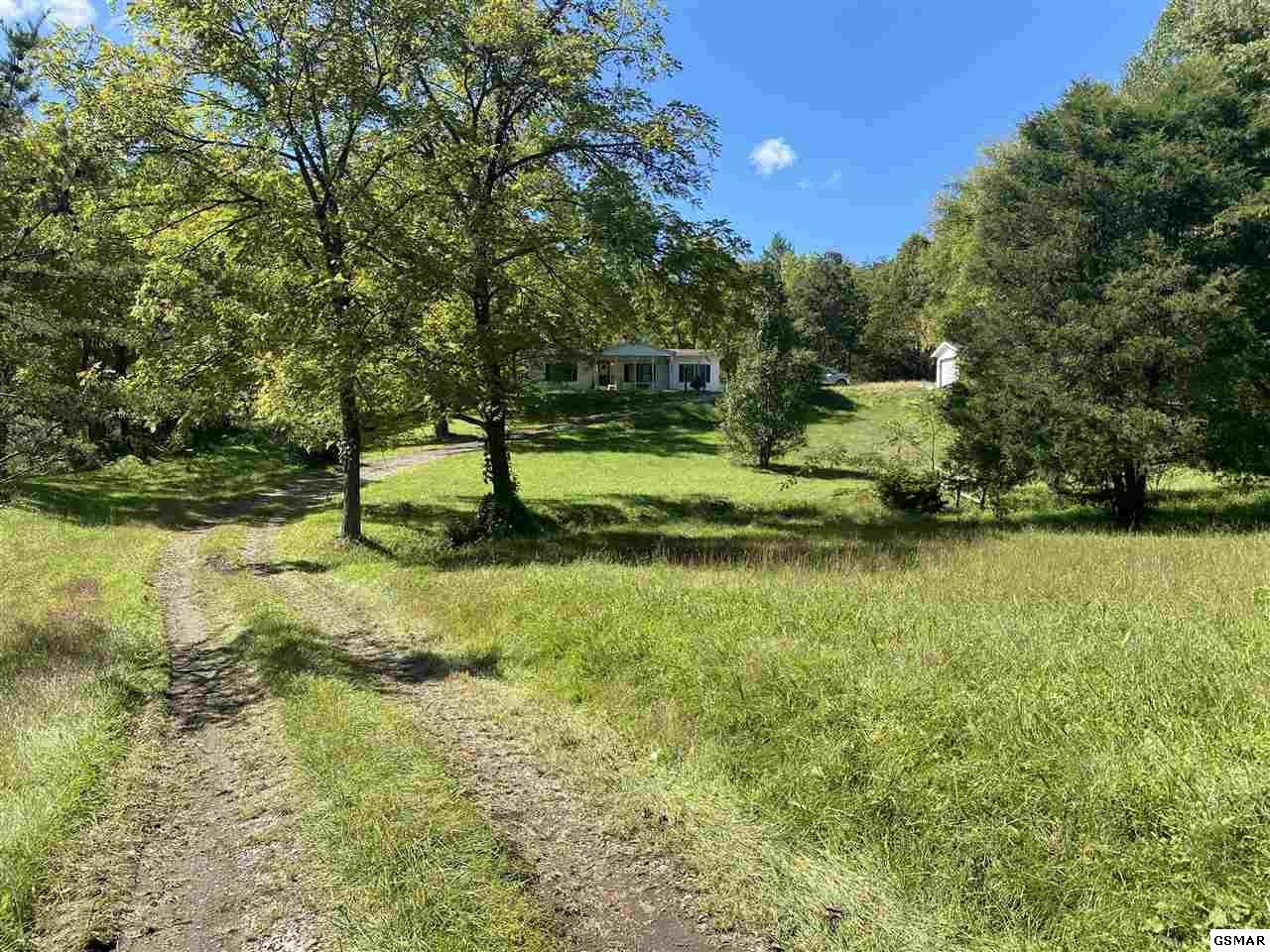 909 Stinnett Ridge Road Cosby, TN 37722 - Photo 13 of 35