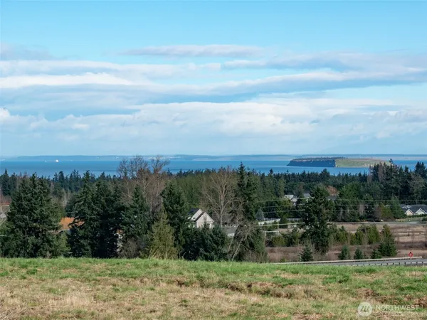 a view of a city and lush green forest