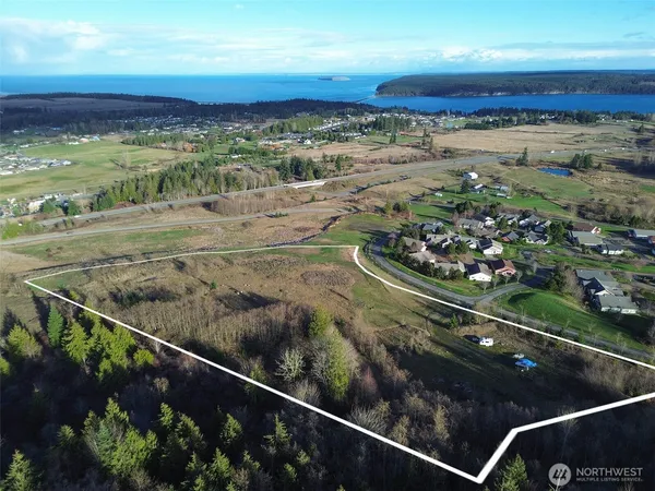 a view of a garden with a lake