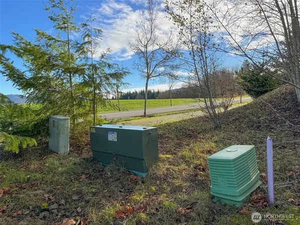 a view of an ocean from a yard