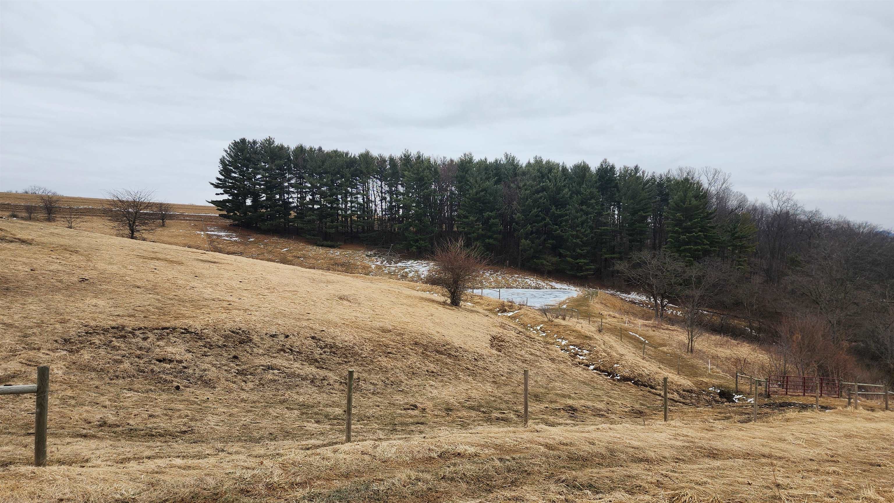 14177 Irish Ridge Road Woodman, WI 53827 - Photo 36 of 57
