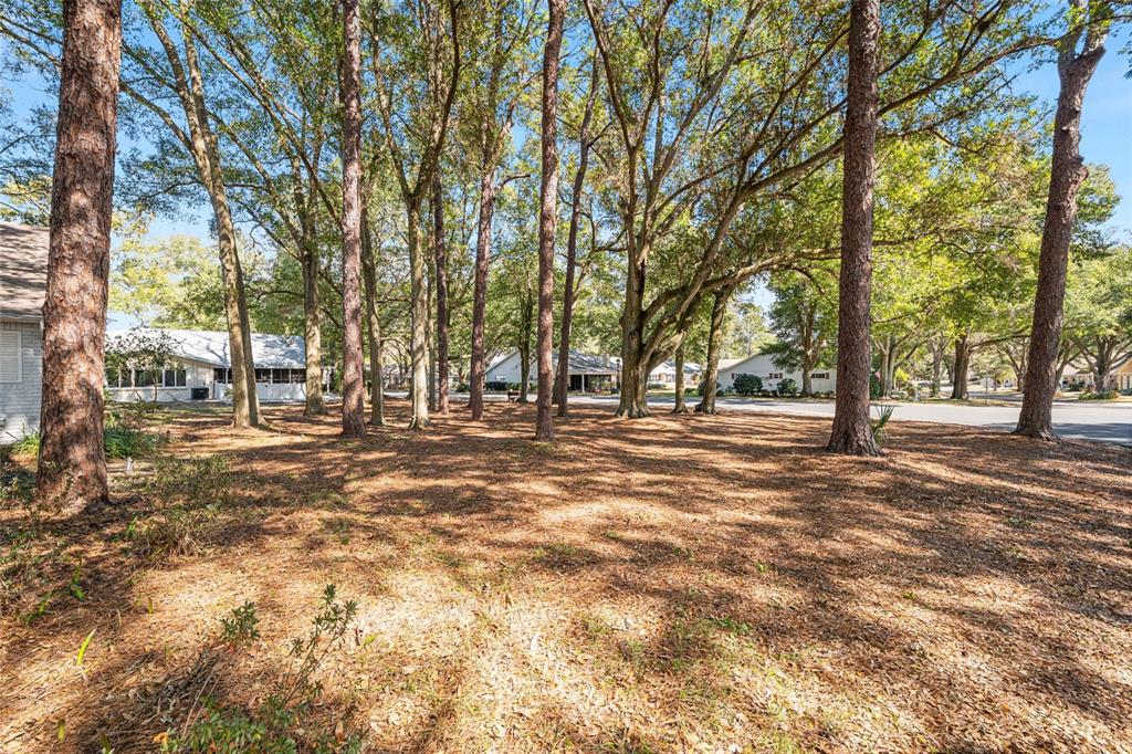 8711 Southwest 92nd Place, Unit D Ocala, FL 34481 - Photo 62 of 62