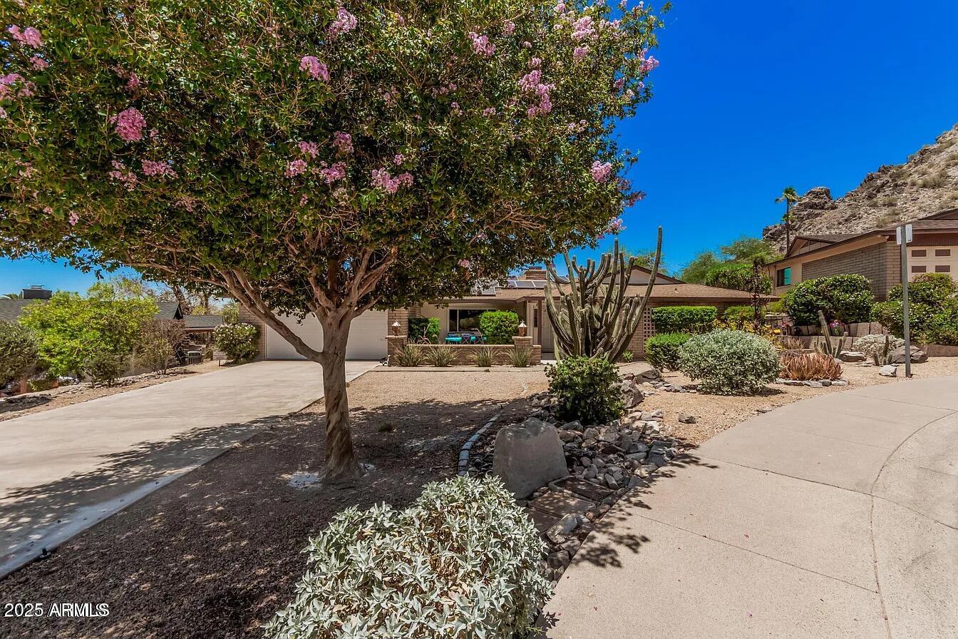 6802 North 26th Street Phoenix, AZ 85016 - Photo 38 of 39 a view of a garden with plants and large trees