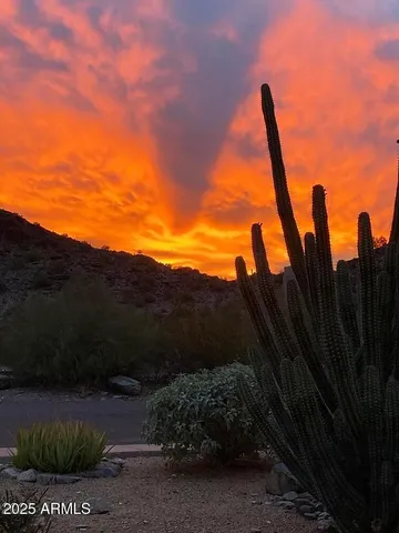 a view of a backyard