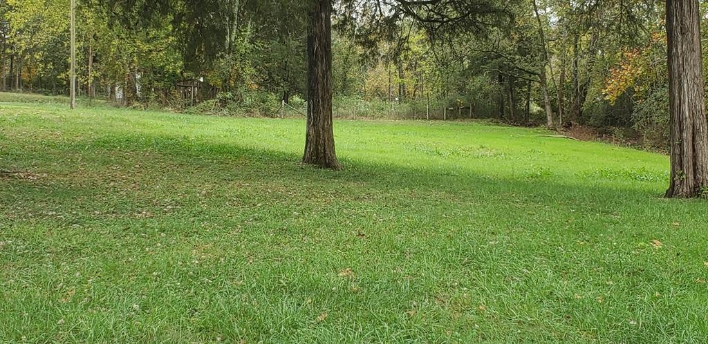 9089 State Highway South Decatur, TN 37322 - Photo 1 of 3 a view of a trees with a yard