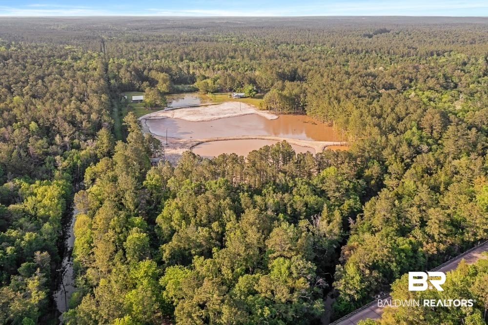 11100 Kali Oka Road Eight Mile, AL 36613 - Photo 2 of 49