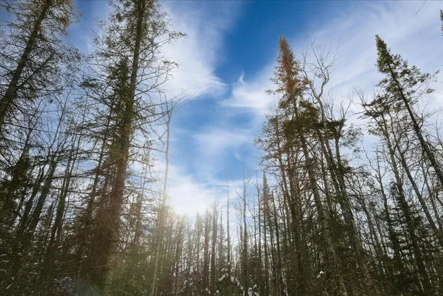 $190,000 | 6100 Herranen Road, Kettle River, MN 55757