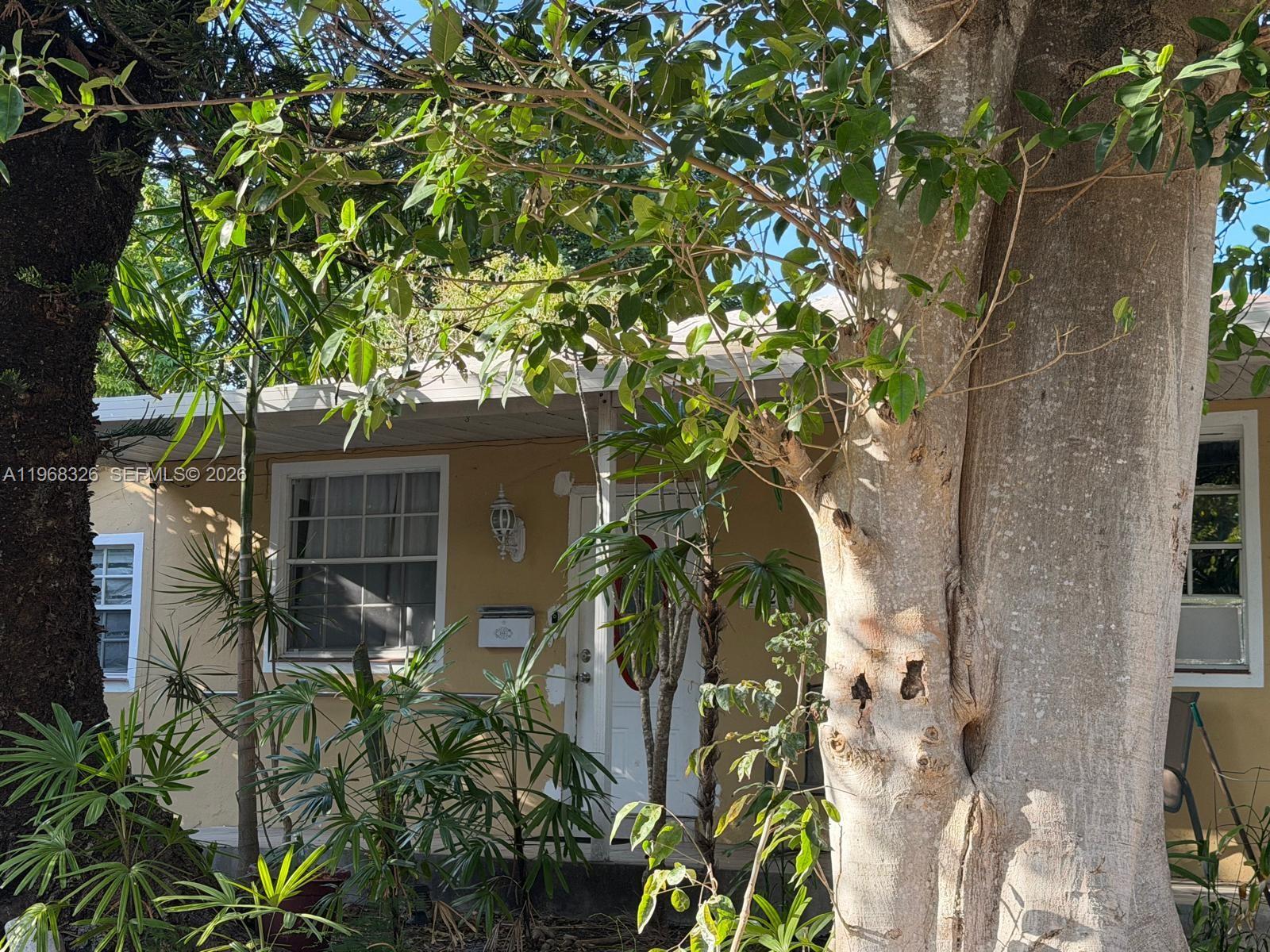 a plant is in front of a house