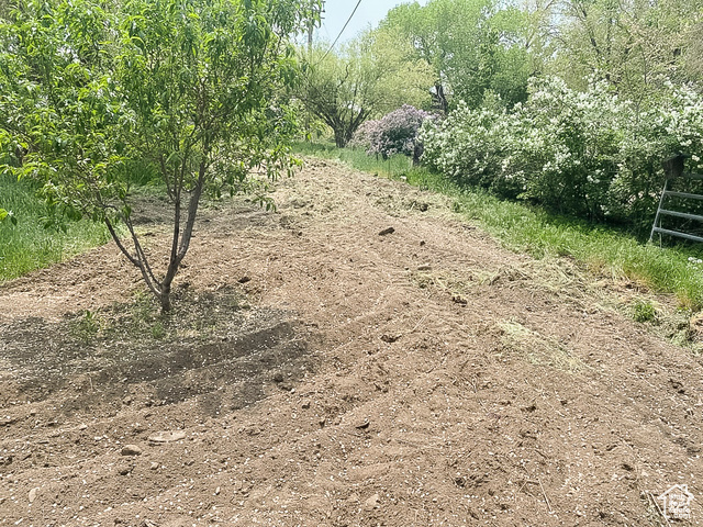 2855 South 1000 West Perry, UT 84302 - Photo 95 of 142 View of undeveloped land on lot