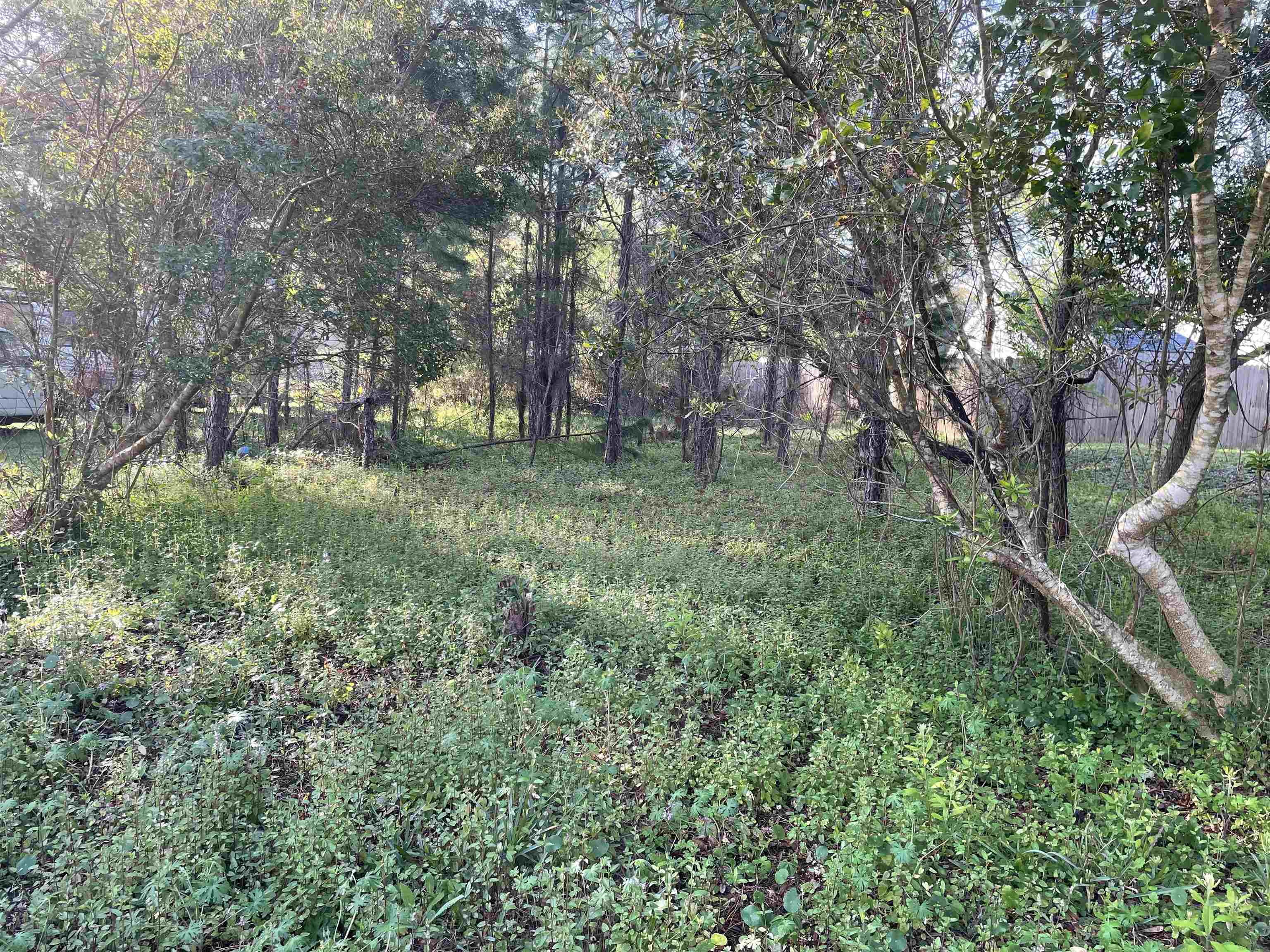 a big yard with lots of green space and deers