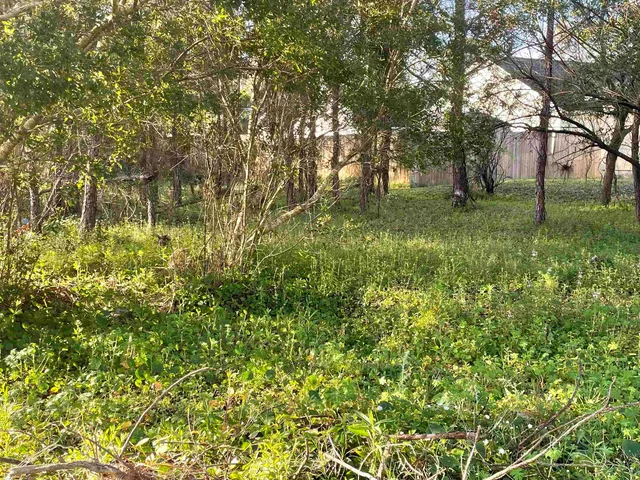 a front view of a house with a yard and potted plants