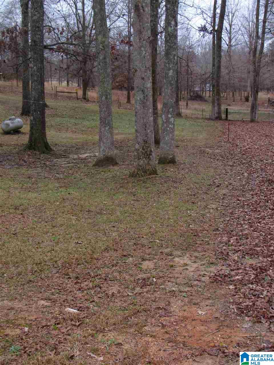 190 County Road 484 Clanton, AL 35046 - Photo 12 of 45