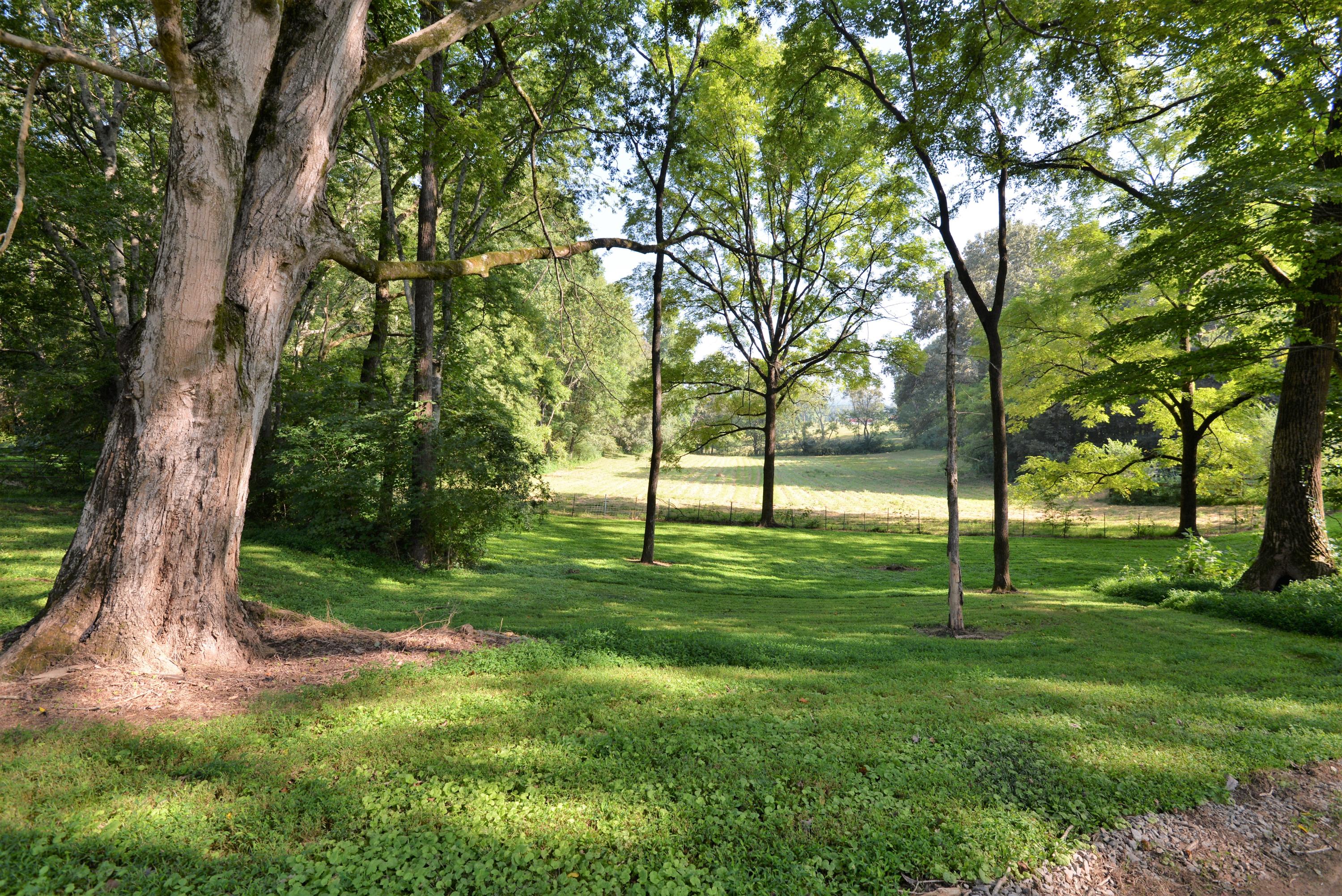 46 Blue Hole Road LaFayette, GA 30728 - Photo 46 of 60 Side field
